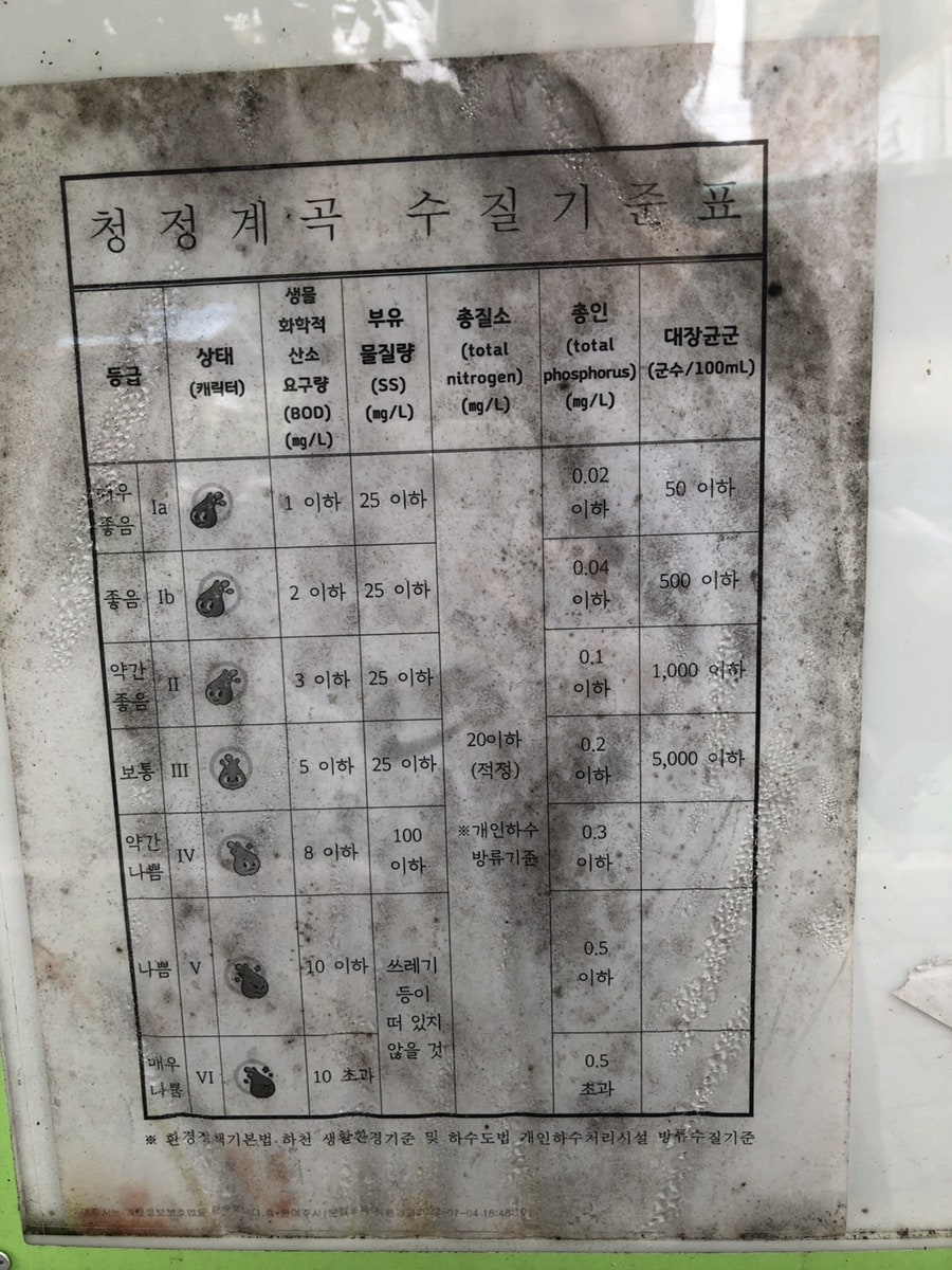 푸른하늘은하수 사진 6