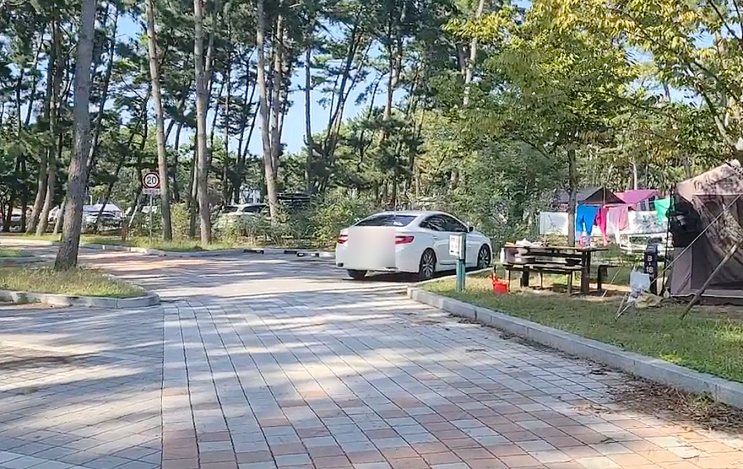  몽산포 국립 자동차 야영장 이용 및 예약방법