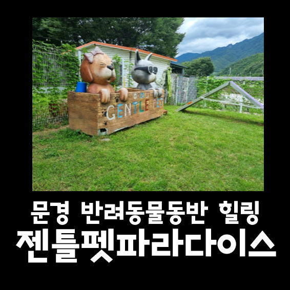 사진 4
