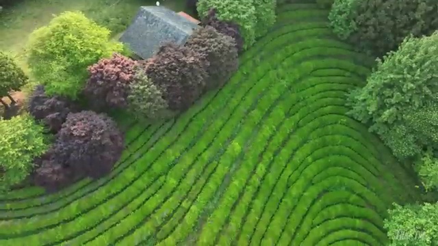  보육교사2급자격증 , 직장인도 학점은행제로 간단하게 끝낼수 있었던 비법