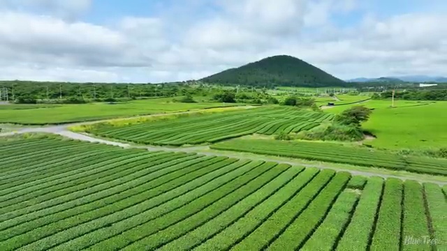  발리가족자유여행 , 여행 전문가 가 무료로 도와드립니다. (무료 서비스)