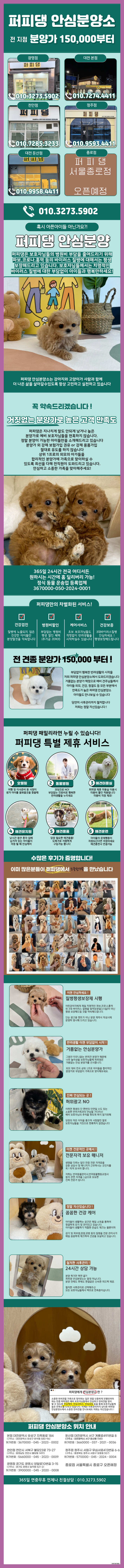  본오동강아지분양샵 현명하게 알아보기