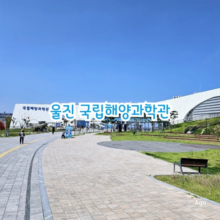  울진가볼만한곳 국립해양과학관 feat 아이와 가볼만한 곳