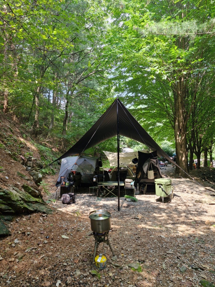  은이골 가족 캠핑장_계곡 앞 프라이빗 명당자리 D-1 후기