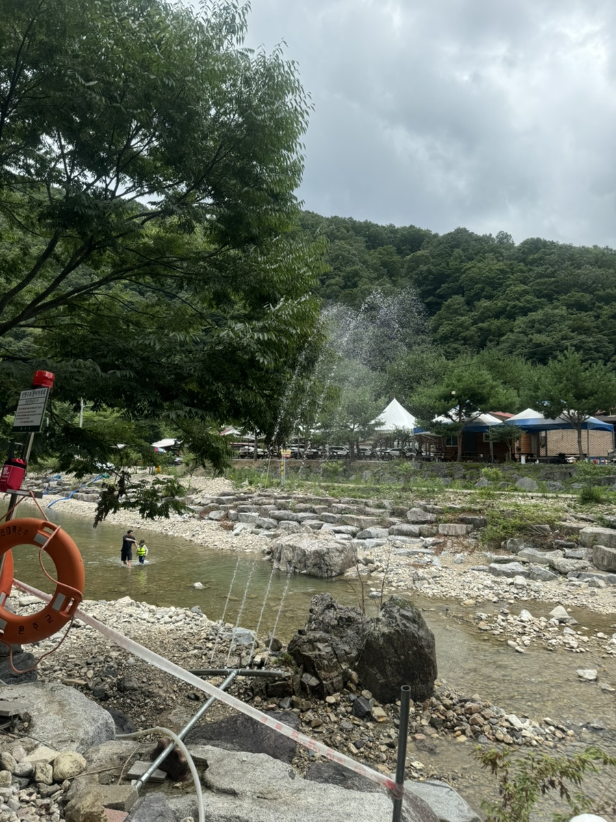 봉선화집 사진 6