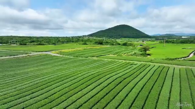  주조산업기사 취득자격 학점은행제로 빠르게 성공한 비법