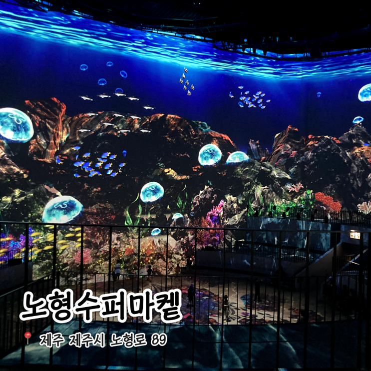 제주도 실내 놀거리 미디어아트 전시회 노형수퍼마켙 / 내돈내산 솔직 후기