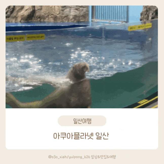  일산 아쿠아플라넷 아이와 함께 바다속여행