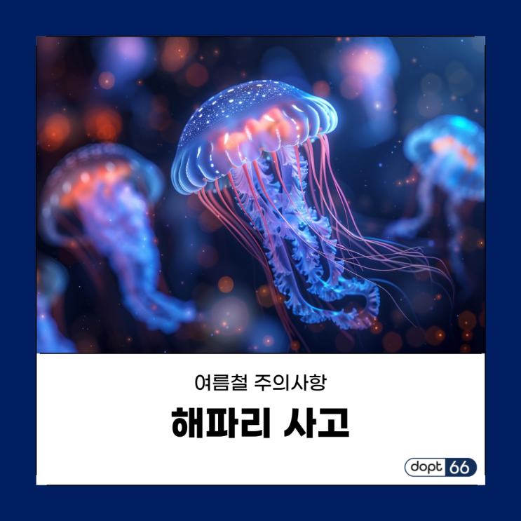  여름철 해파리를 조심하세요! 해파리 쏘임 응급처치 5가지