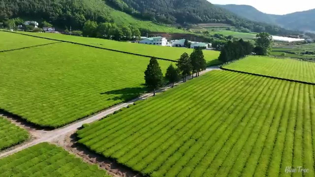  4인가족 해외여행 고민중이라면 , 여행 전문가 에게 먼저 연락주세요. (무료 서비스)