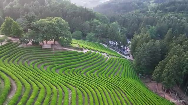  강릉 의료사회복지사 ~ 사회복지사2급 조건이 안돼도 온라인 수업으로 편하게
