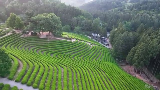  인터넷교체 현금 , 준비 중이라면 공식대리점 에서 업체 별로 비교해 드립니다.