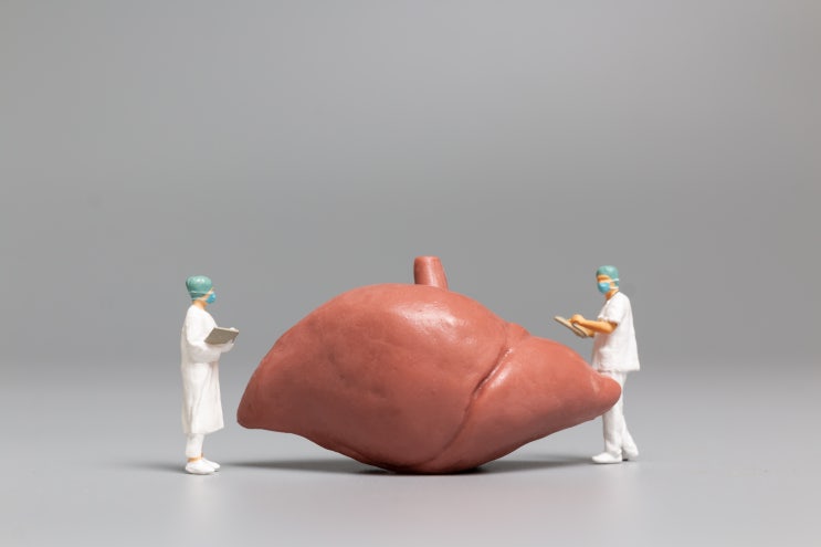  간에 좋은 영양제 선택 방법과 간에 안좋은 음식 알아보자
