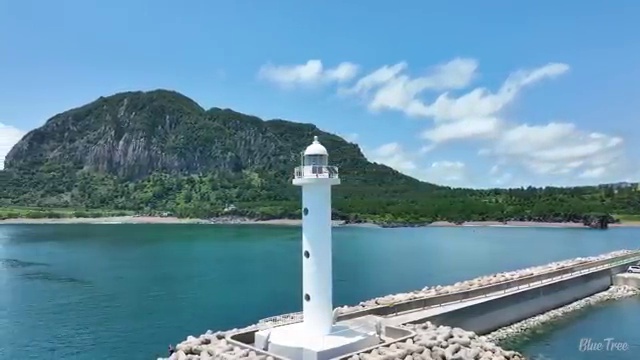  수산물품질관리사 자격증 , 손쉽게 준비하는 방법