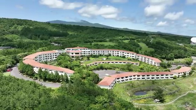  8세 초등학교 학습지 엘리하이로 시작해요