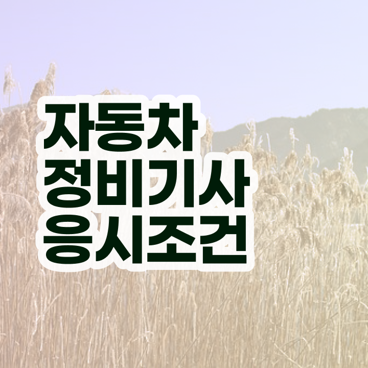  자동차정비기사 시험 시간 자동차정비기사 응시조건 인강으로 5달만에 끝낸 노하우