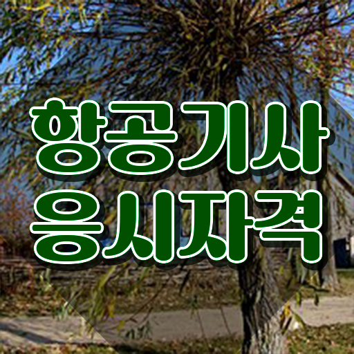  항공기사 시험자격 학점은행제로 5달만에 끝낸 비법