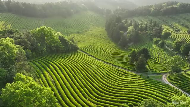  산림기사 합격 산림기사 취득자격 학점은행제로 빠르게 완료한 후기
