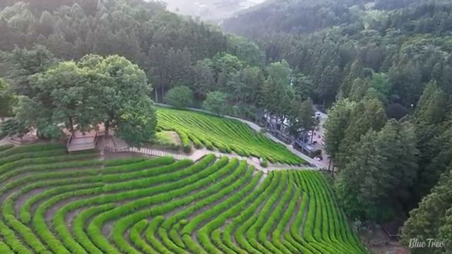  마포구 연남동 하수구 배관막힘 문제 해결 로드맵
