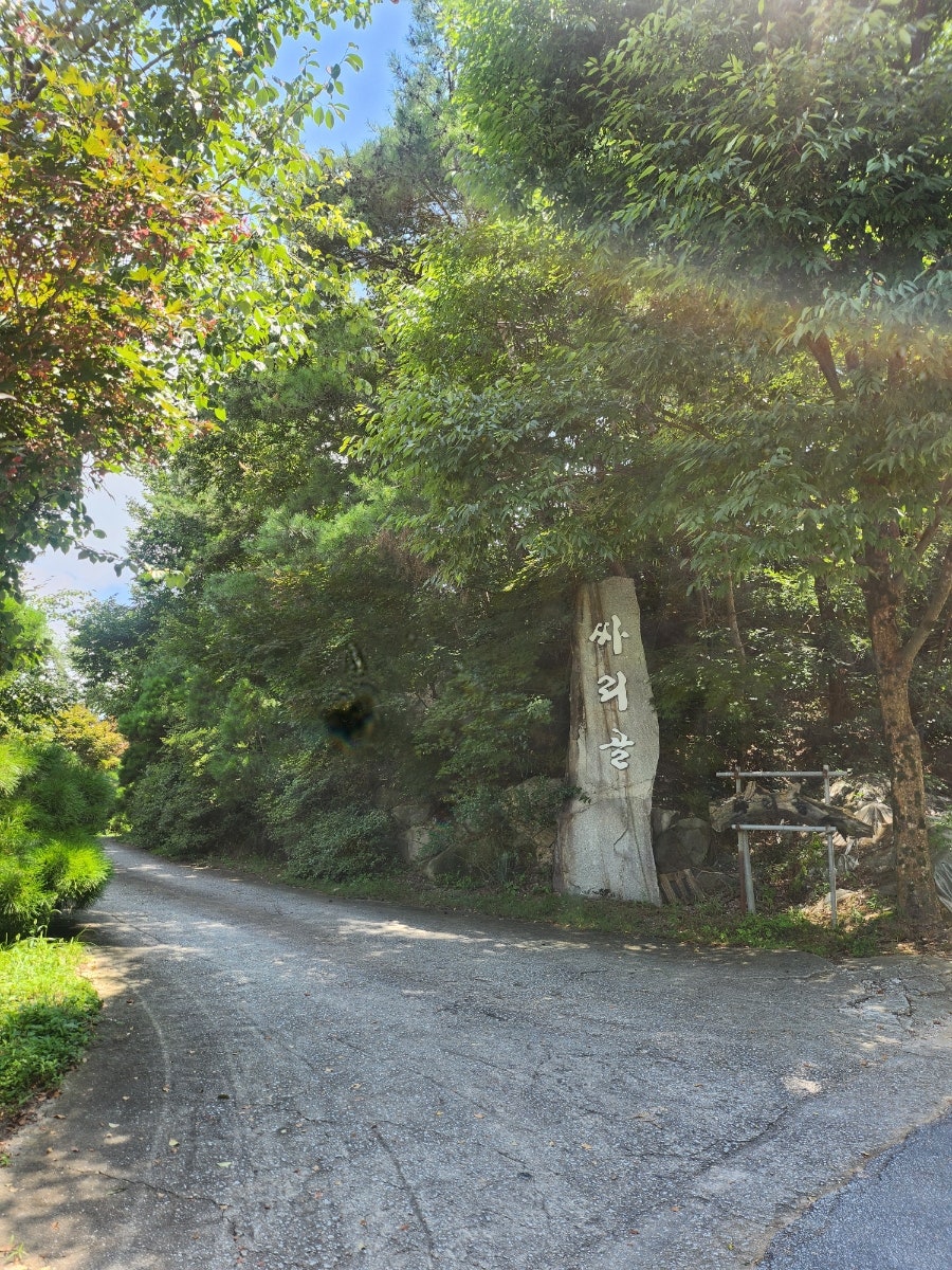 싸리골 사진 4