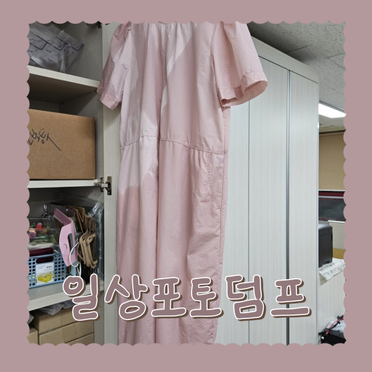  일상 포토덤프 4회차 헛둘헛둘