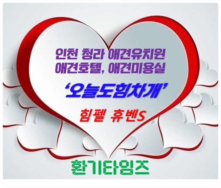 인천 청라 애견유치원, 애견호텔, 애견미용실_오늘도힘차개_힘펠 휴벤S 공기순환기_환기타임즈 인천 청라 애견유치원, 애견호텔, 애견미용실_오늘도힘차개_힘펠 휴벤S 공기순환기_환기타임즈