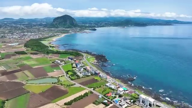  수산물 품질관리사 ,