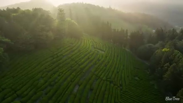  경북 사회복지학편입 ? 사회복지사2급 직장인도 인강 듣고 간편하게