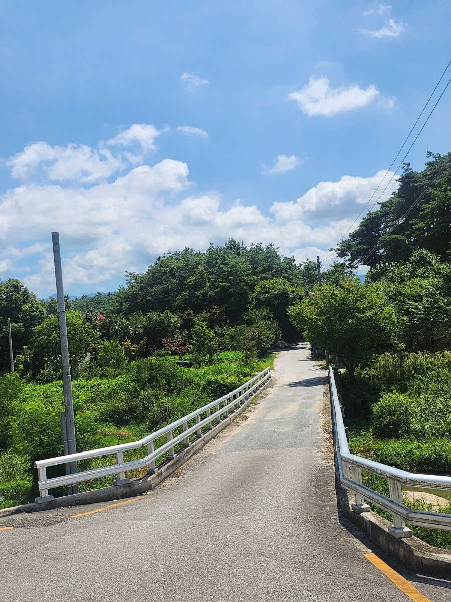 싸리골 사진 3