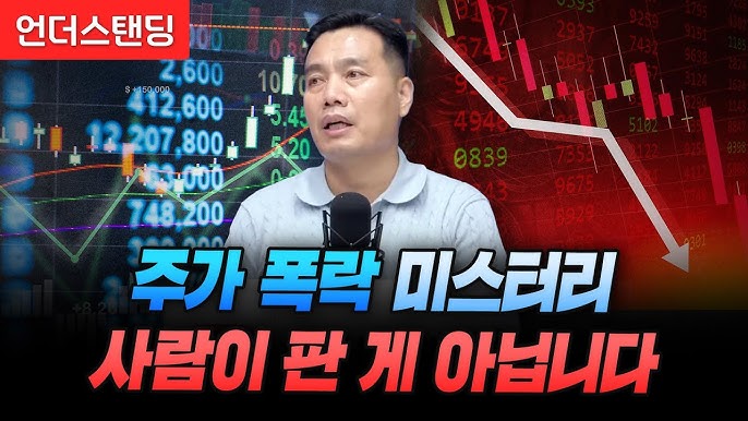 주가 폭락 미스터리 사람이 판 게 아닙니다 주가 폭락 미스터리 사람이 판 게 아닙니다