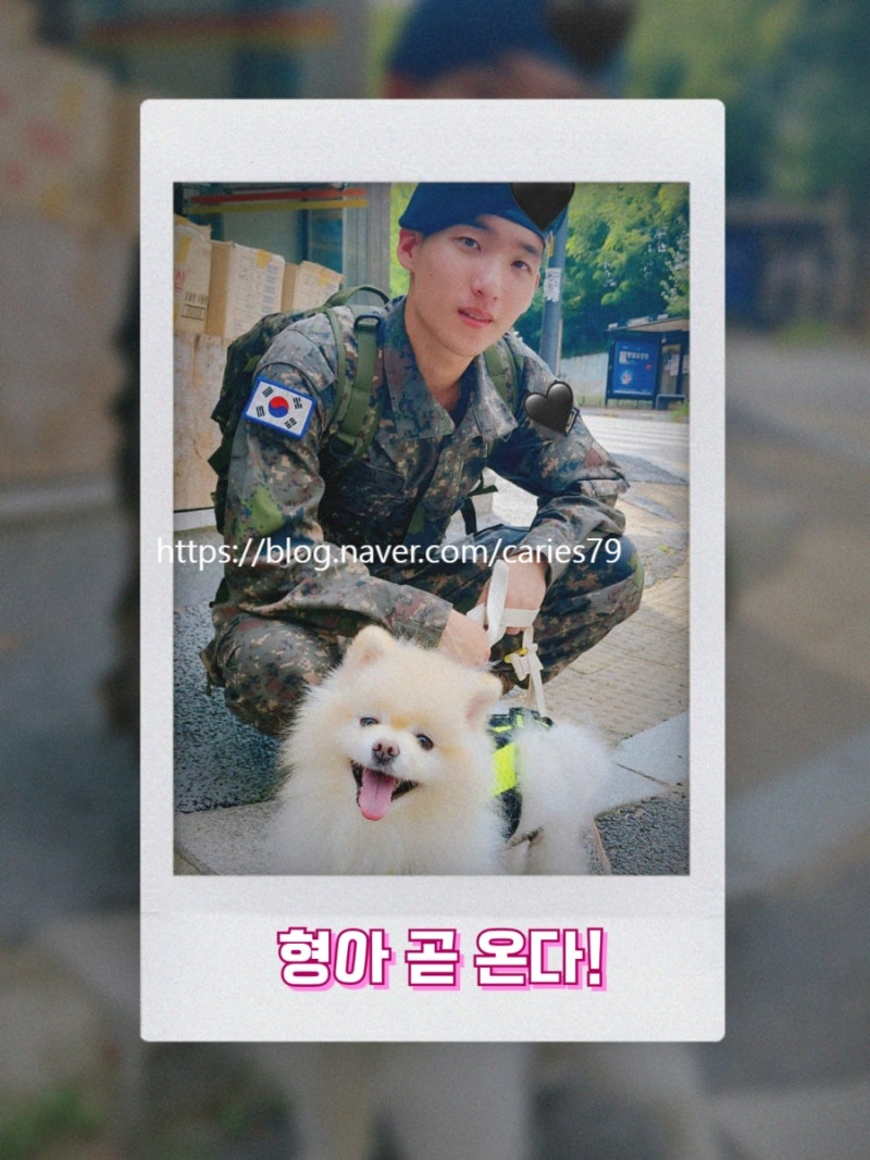 Day 2]미국 여행-워싱턴 D.C.(Washington D.C.): 미국역사박물관(Smithsonian National Museum  of American History) : 네이버 블로그, image size:800x1067