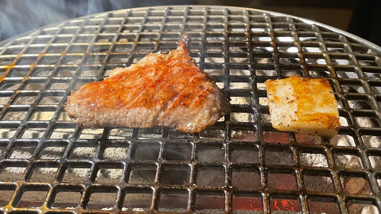  삿포로 야키니쿠 현지인 맛집 호르몬풍토 스스키노점_징기스칸(양고기), 호르몬, 와규 숯불구이