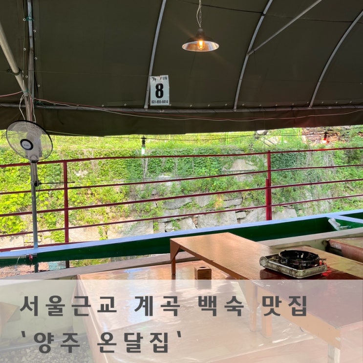  서울 근교 시원한 송추계곡&양주계곡 백숙 맛집 ‘온달집’ 계곡식당 이용후기 추천