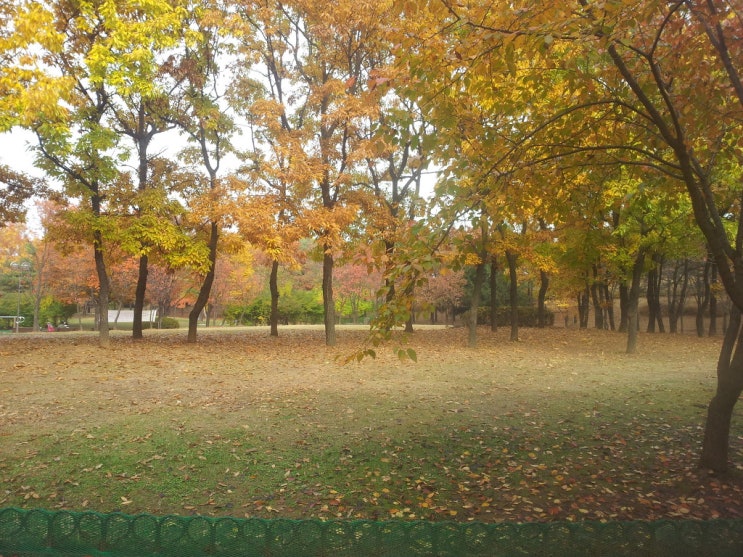 <b>다문화</b> <b>콘서트</b>