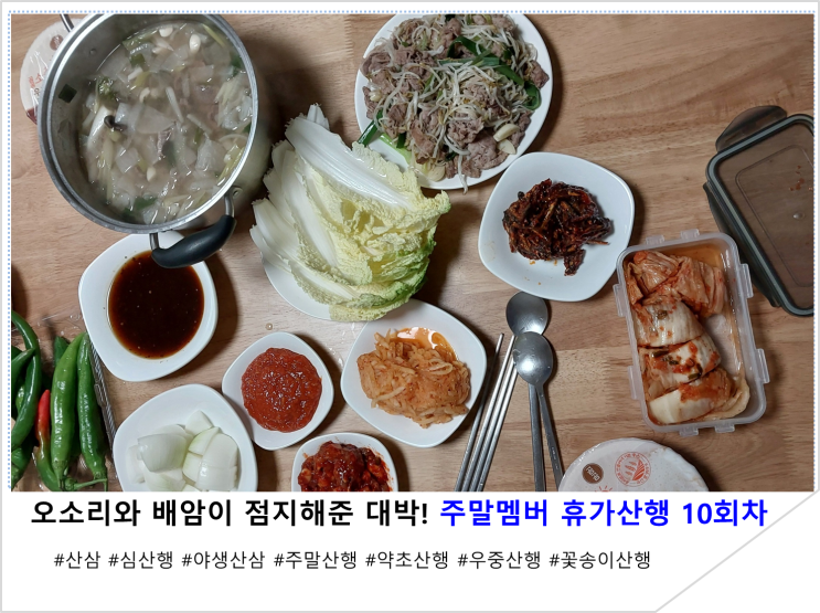  오소리와 배암이 점지해준 대박! 주말멤버 휴가산행 이야기 10회차