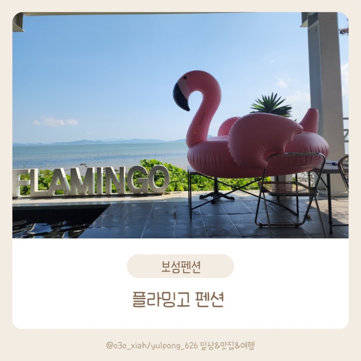  보성 오션뷰 플라밍고 펜션 대가족 수용 가능한 풀빌라 솔직후기