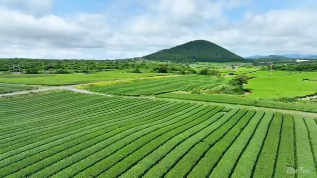  제빵산업기사 응시조건 인강으로 15주 동안 완료한 과정
