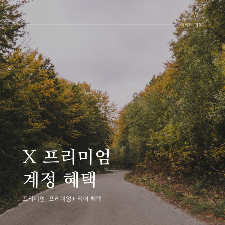  X(구.트위터) 프리미엄, 프리미엄+ 티어 혜택
