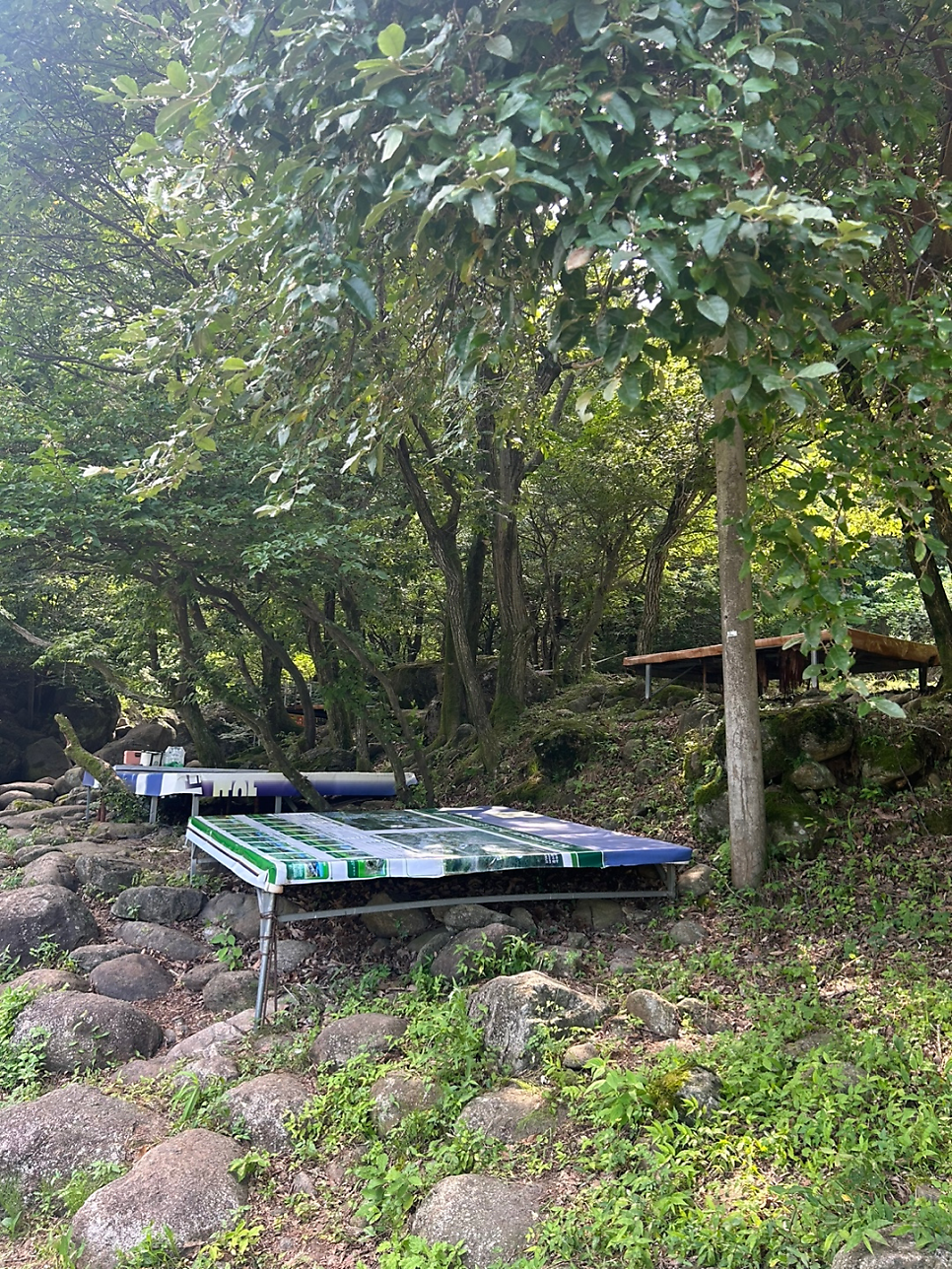당동반석계곡 사진 5