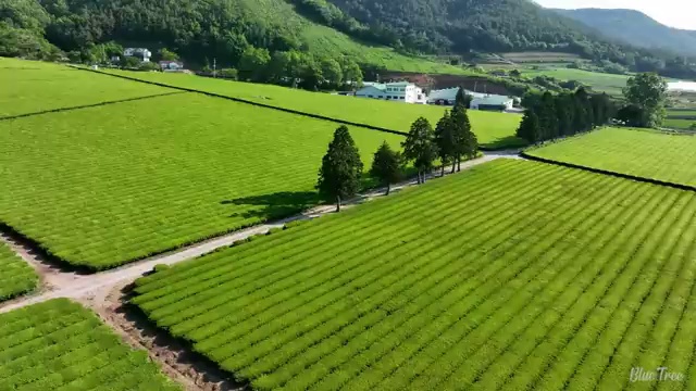 창원 사회복지학학점은행제 ~ 사회복지사2급 학력 상관없이 학점은행제 활용하여 편하게