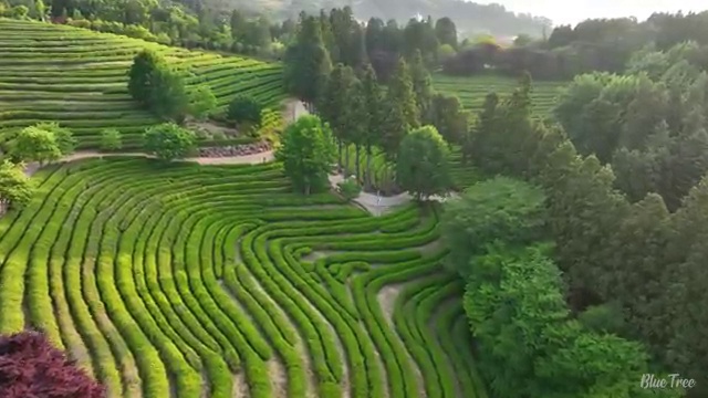  금천구 독산3동 청년배관케어 원룸세면대막힘 노하우 공개!