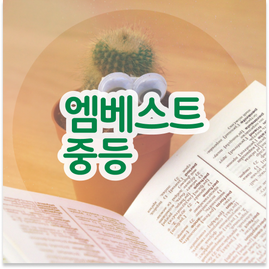  중3 예비중등영어 엠베스트 중등 기초 다지기