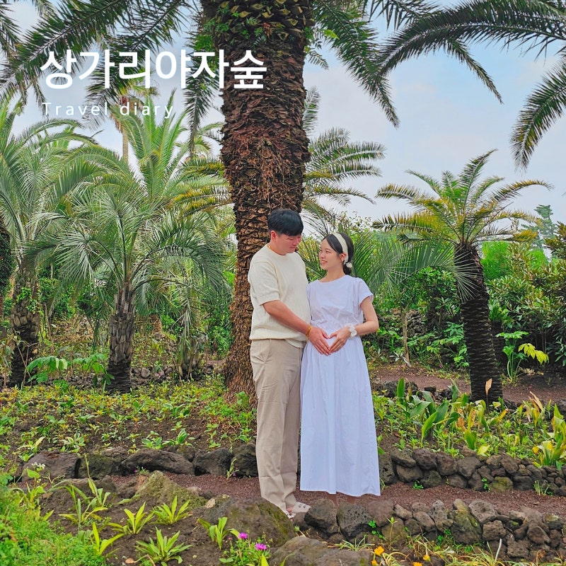 사진 8