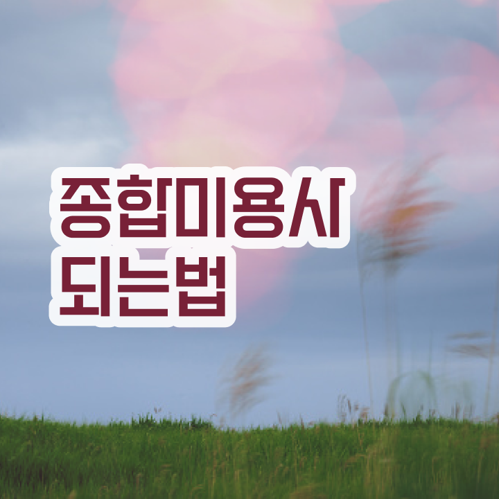  헤어미용자격증 실기 평가시험 없이도 , 미용사자격증 갖춘방법