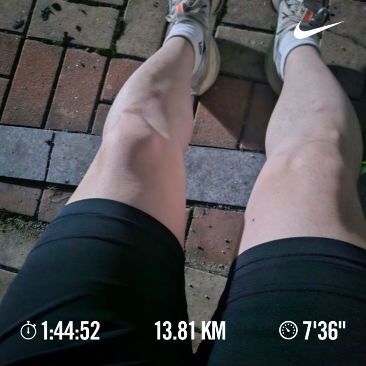 [챌린지]매일 10km 걷기 챌린지 1091일차