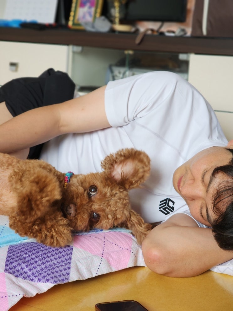  [블챌] 하루 띵가먹고 올리는 나의 인생 이야기