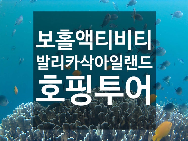  필리핀 보홀 물놀이 액티비티 발리카삭 아일랜드 호핑투어