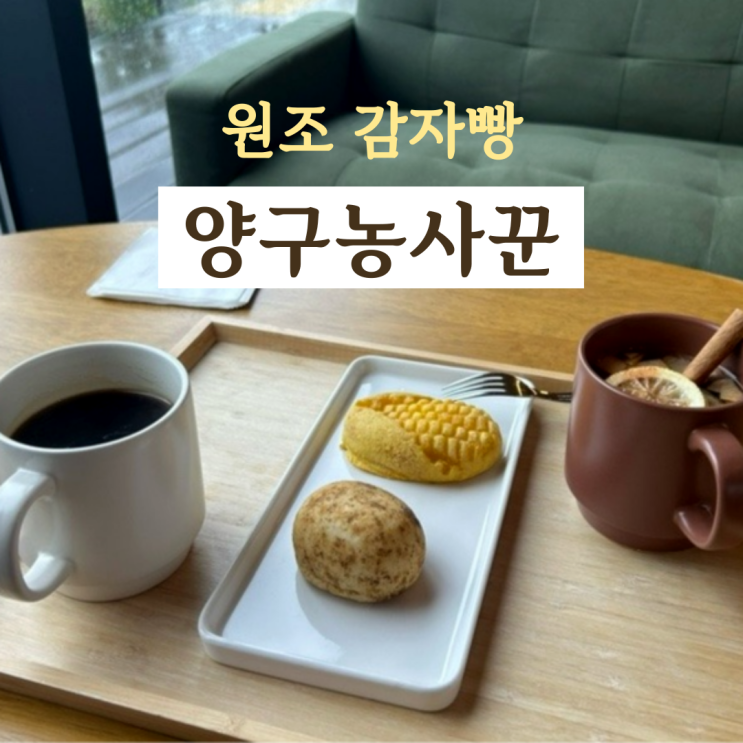  [강원 양구] 뷰 맛집 디저트 카페 양구농사꾼
