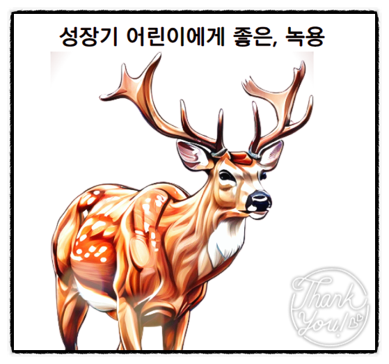  사슴뿔 녹용 효능