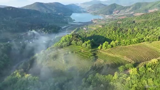  포장산업기사 자격요건 학점은행제로 간단하게 준비한 노하우
